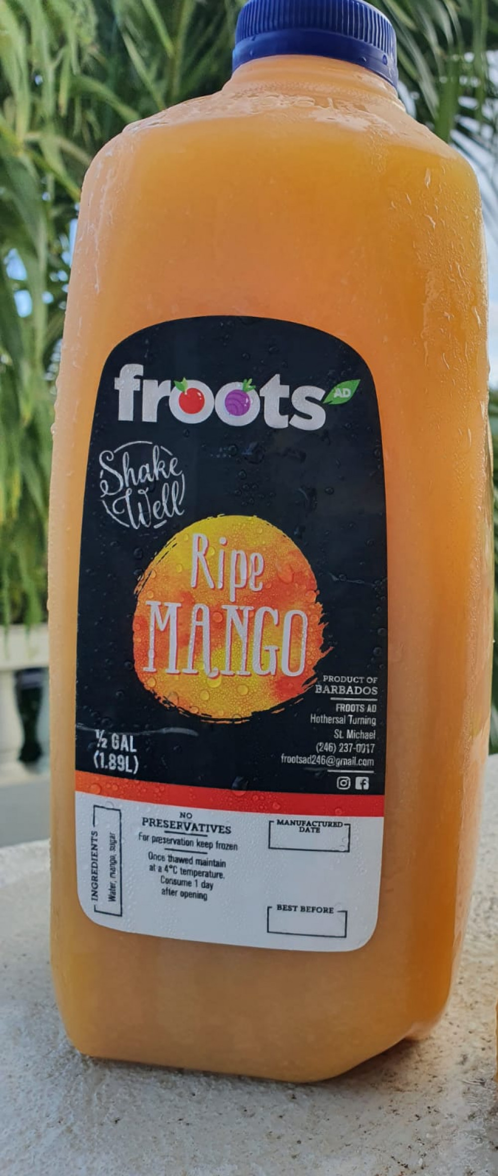 Ripe Mango - 1/2 Gallon