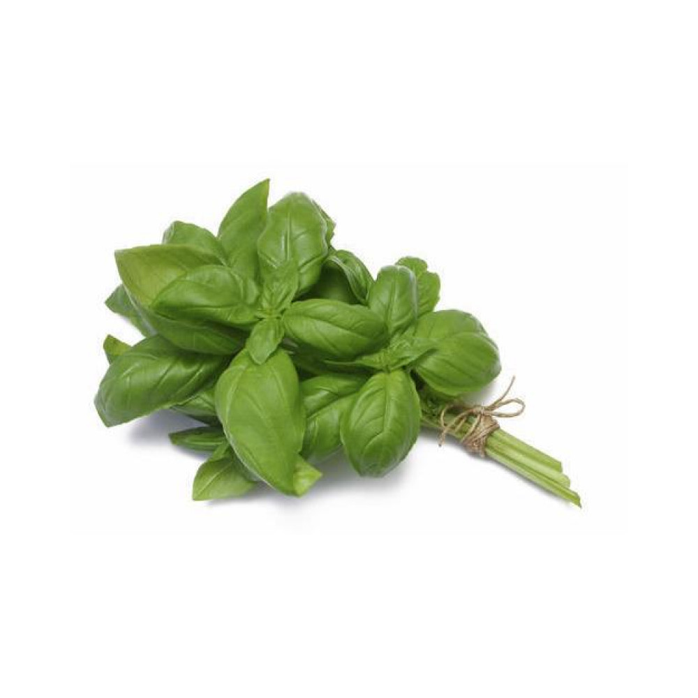 Boppa's herbs basil 25 g