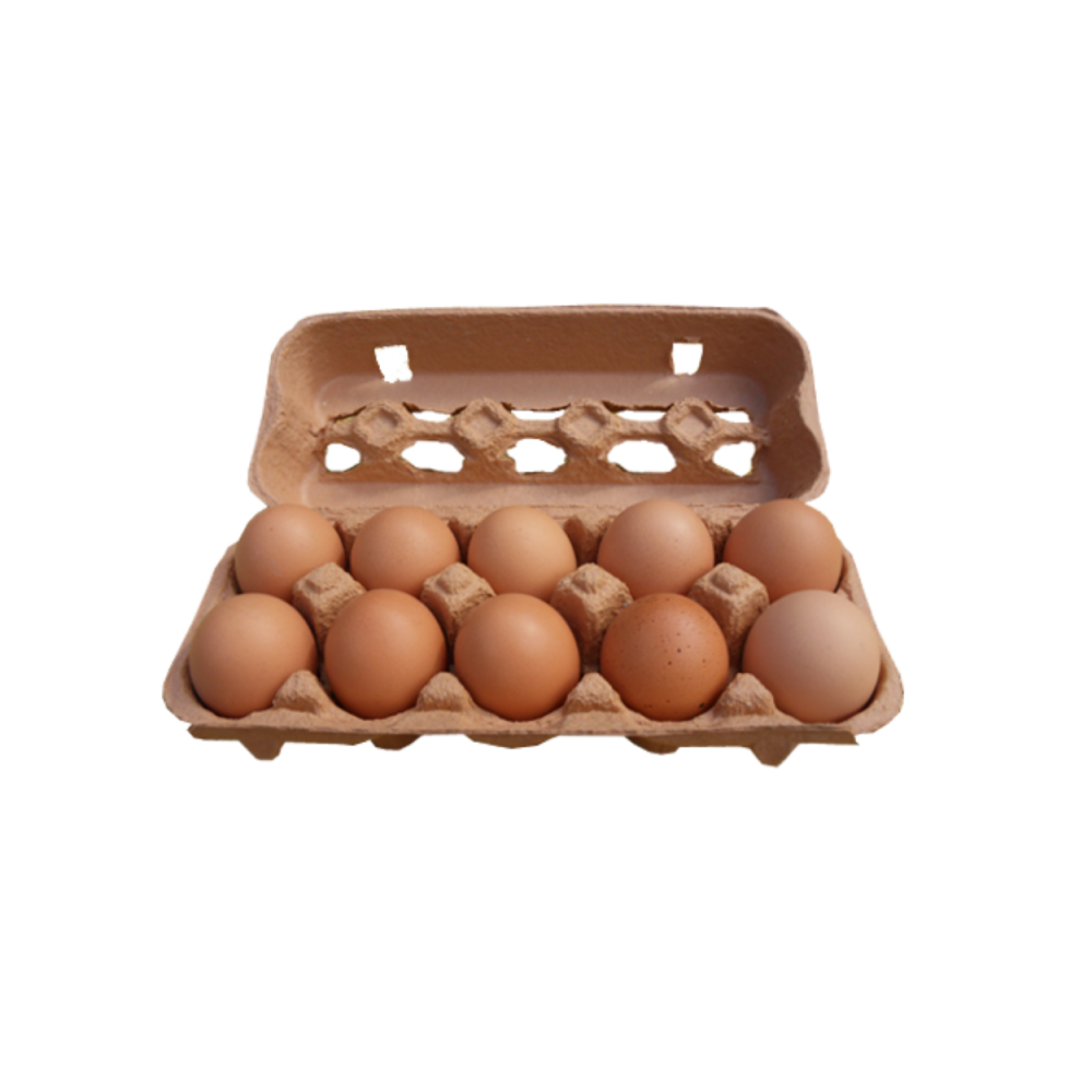 Eggs 10 Pack